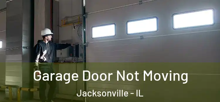  Garage Door Not Moving Jacksonville - IL