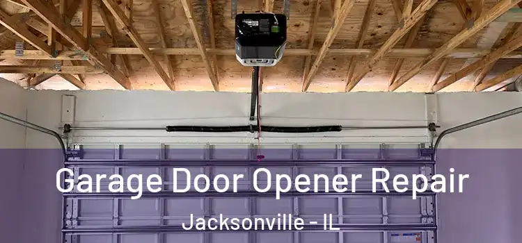  Garage Door Opener Repair Jacksonville - IL
