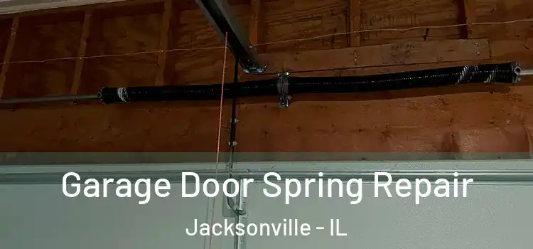  Garage Door Spring Repair Jacksonville - IL