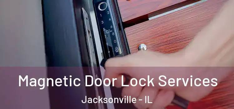 Magnetic Door Lock Services Jacksonville - IL