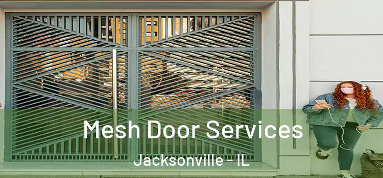 Mesh Door Services Jacksonville - IL