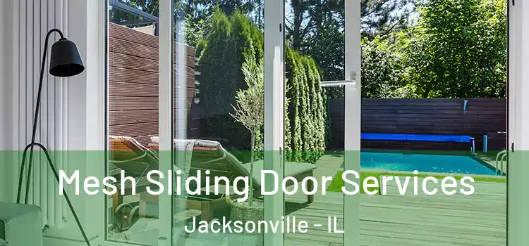  Mesh Sliding Door Services Jacksonville - IL